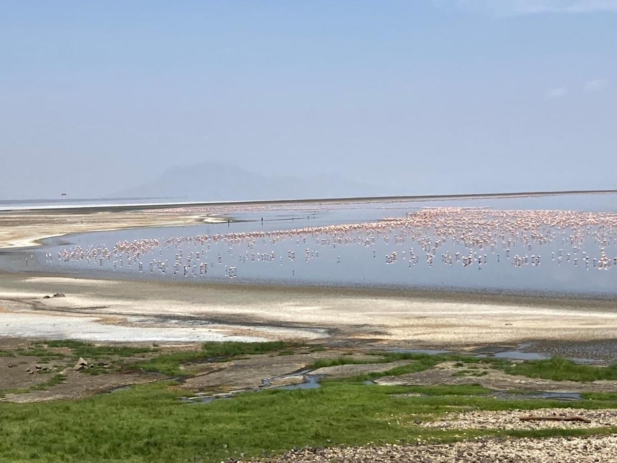 Lake Natron Maasai Guesthouse Mtowabaga Exterior foto
